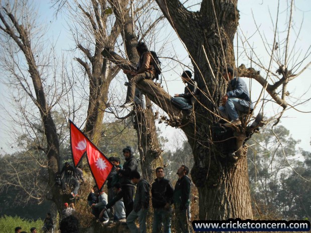 Supporters climb up to trees to watch Final Nep Vs Afg, Asian Cricket Council Twenty20 Cup